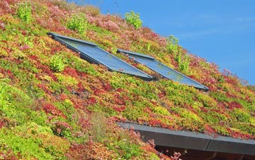 Lyndon living roof systems