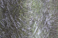 Lyndon fibreglass roof work